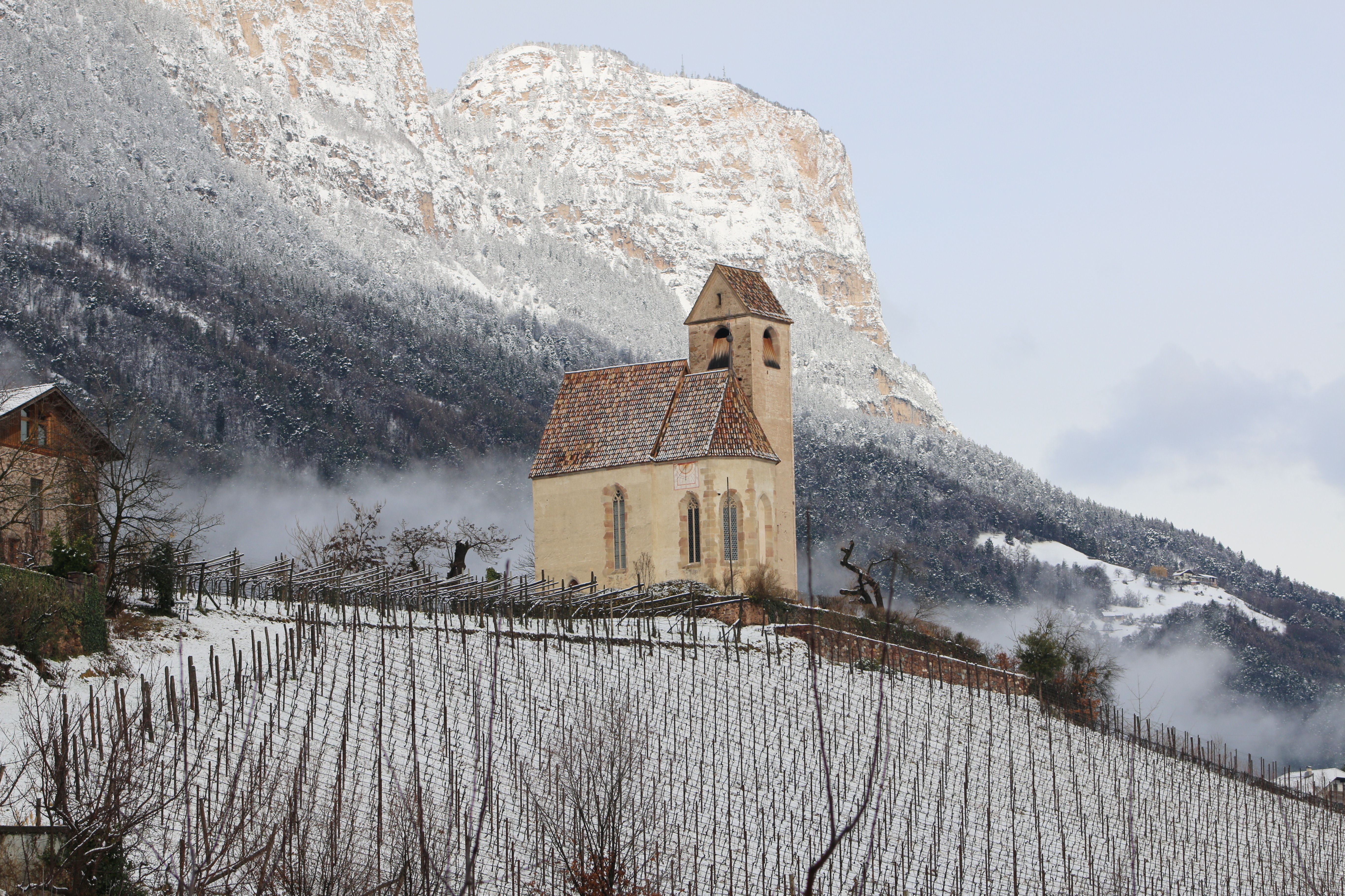 Vineyards and castle of Schloss Englar in South Tyrol