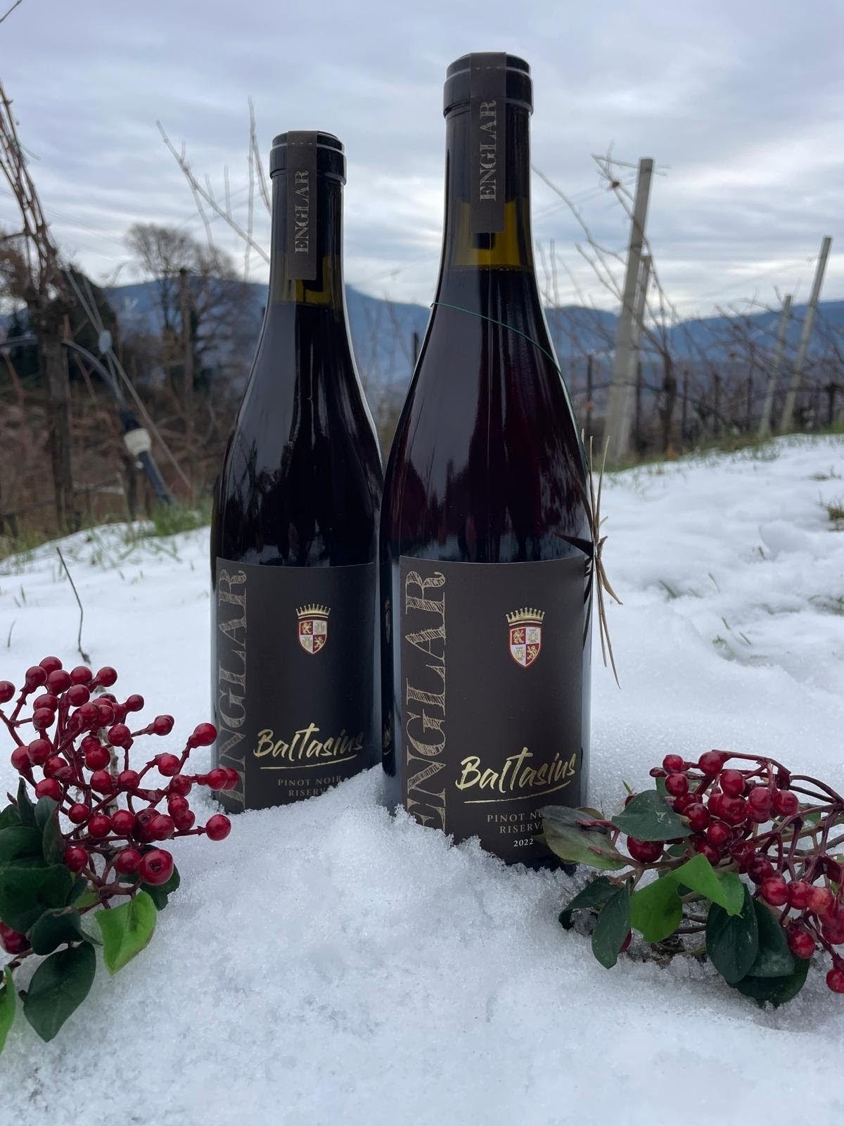 Bottle and glass of Pinot Vintage Dialogue from Schloss Englar